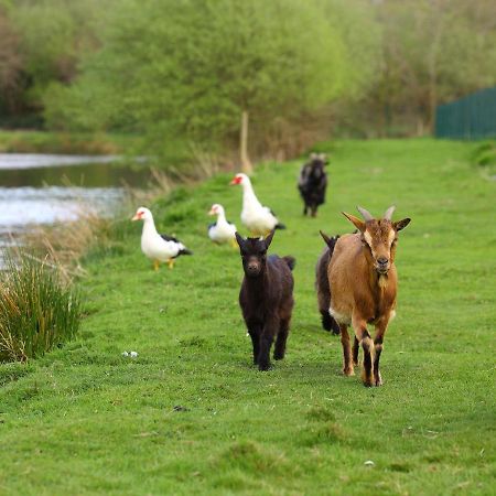 Gites De La Ferme De Vur Ven Gouvieux Bagian luar foto