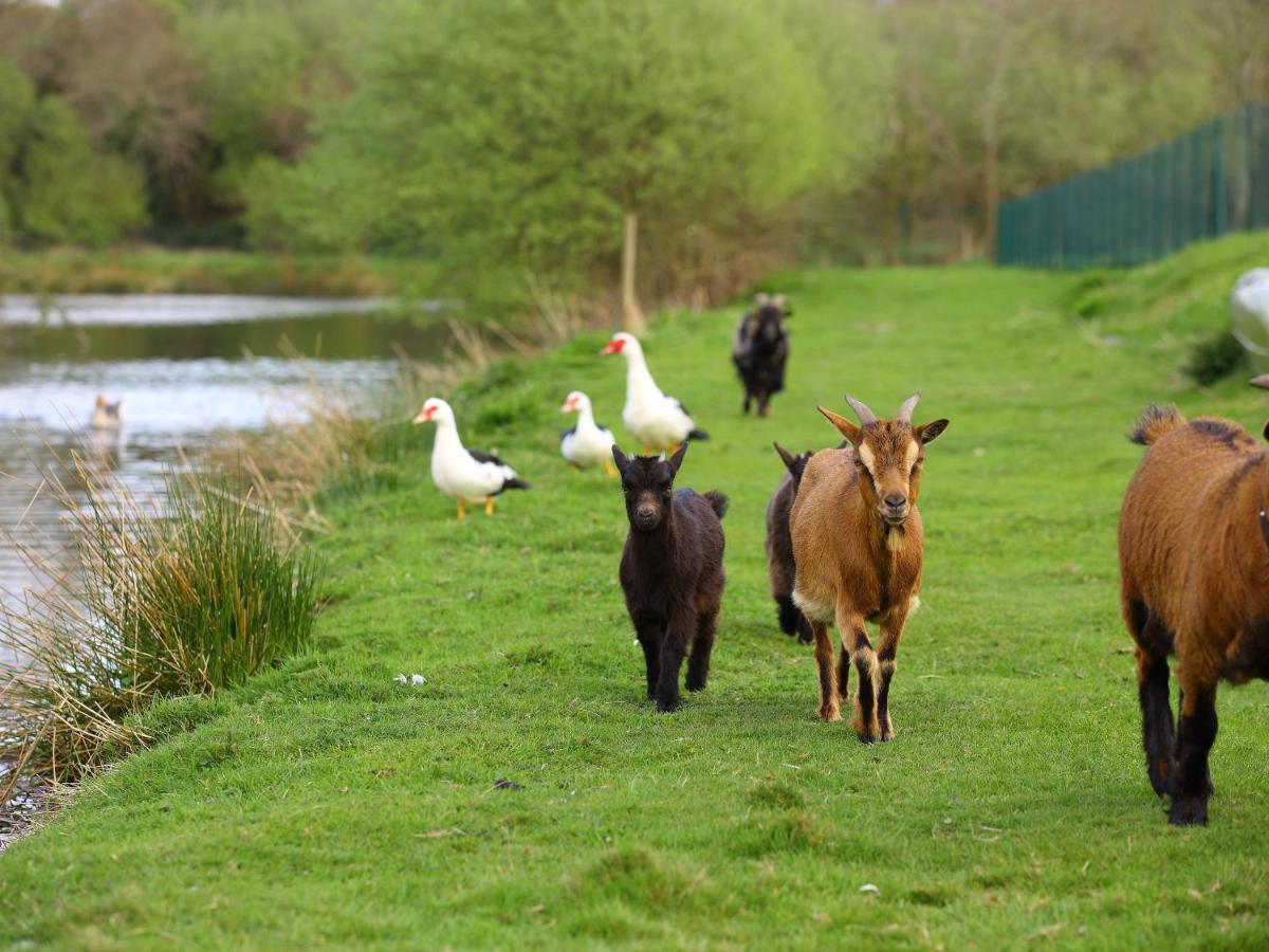 Gites De La Ferme De Vur Ven Gouvieux Bagian luar foto